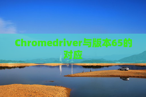 Chromedriver与版本65的对应