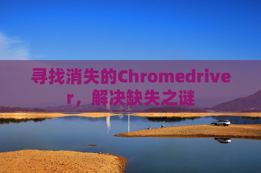 寻找消失的Chromedriver，解决缺失之谜