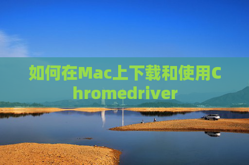 如何在Mac上下载和使用Chromedriver